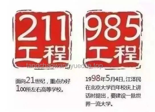 「末流 985」与「顶级 211」抉择新趋势：未来教育投资与职业发展路径